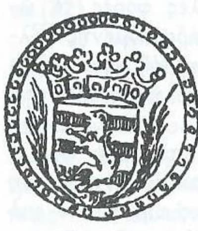 Good Fellas-Project Sommaripa Consolato Paros Branding Good Fellas