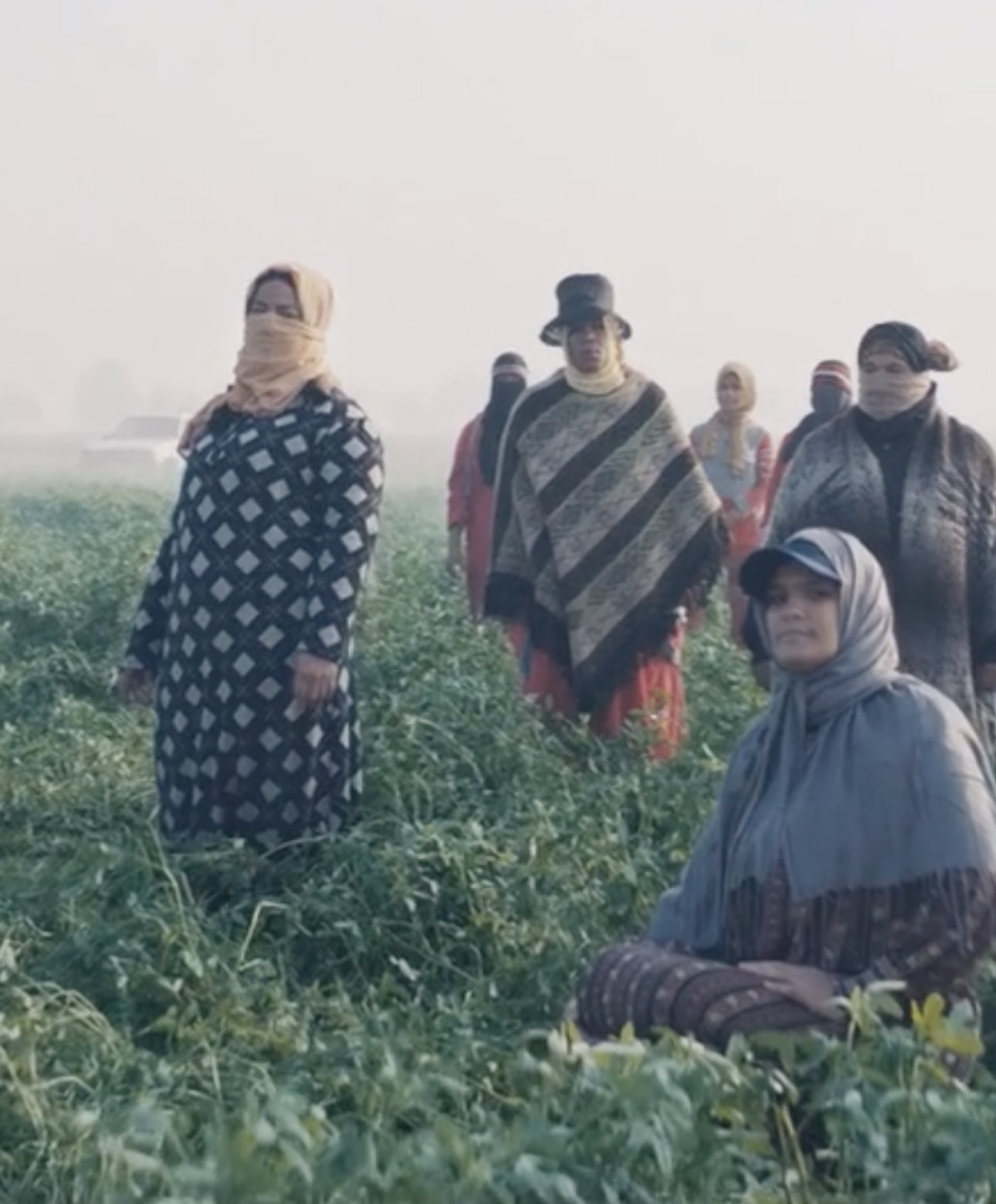 Good Fellas-project-thodoris-zacharakis-website-good-fellas-4